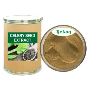 Wholesale Celery Seed Extract Powder