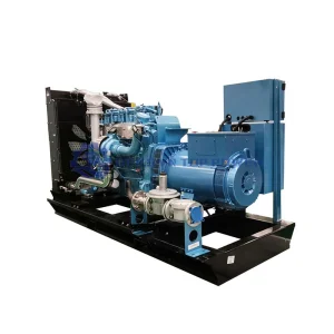 95% Efficiency Biogas Generator