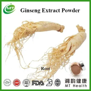 Panax Ginseng