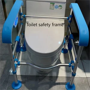 Compact Toilet Safety Rails