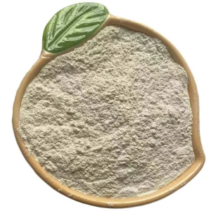 Factory-Sourced Attapulgite Powder Environmentally Friendly Bentonite Product
