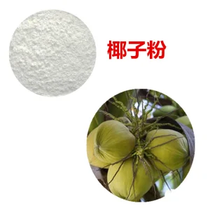 Coconut Powder