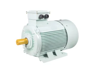 Precision Engineered Electric Motors Supporting Stable Operation in Automation and Heavy Duty Industrial Equipment Ie2