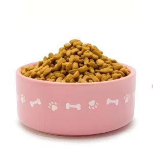 Grain-Free Salmon Cat Food