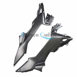 Kawasaki Carbon Fiber Parts