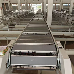 Truelisort Smart Narrow Belt Cross Sorting Solutions