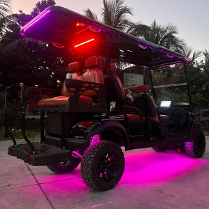 2025 Sightseeing Car