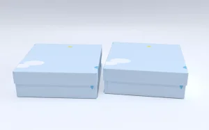 Brand Packaging
