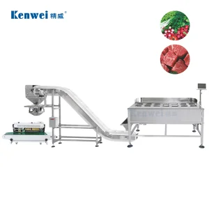 Comprehensive Food Packaging System Using 14 Head Manual Multihead Weigher Packaging System