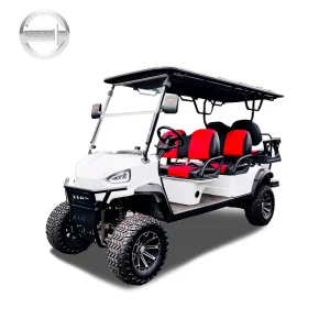 DAOD LSV 6-Seater Electric Golf Cart