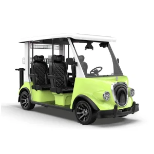 China Manufacturing 2025 Lsv Agv Street Legal Electric Golf Cart DOT