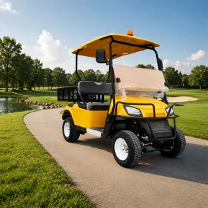 High Quality 2 Seater Electric Golf Cart