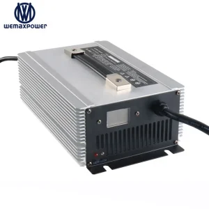 Smart lithium lifepo4 battery charger
