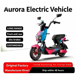 OEM Premium Urban Electric Bike