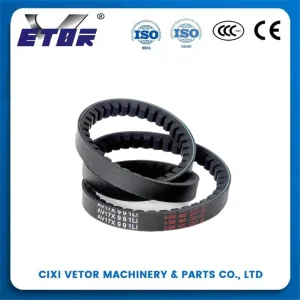 AV17X991Li V-Belt