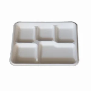 Compostable Rectangular Camping Plates