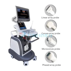 15 HD Color Doppler Main Screen 3D/4D Imaging Technology Trolley Color Ultrasound