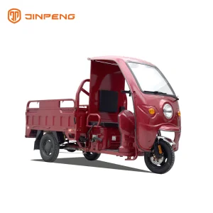 Heavy Duty Jinpeng Brand Electric Cargo Trike