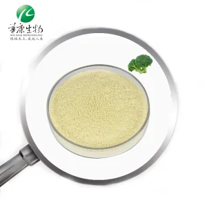 Plant Extract Vegetable Powder Broccoli Extract Sulforaphane