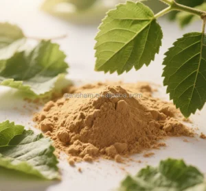 Custom 5% Dnj Mulberry Leaf Powder 100% Pure Food Grade Herbal Extract Discount Available