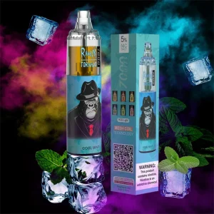 2022 Newest Disposable Premium Quality Electronic Cigarette R and M Disposable Ecig Vape Pen