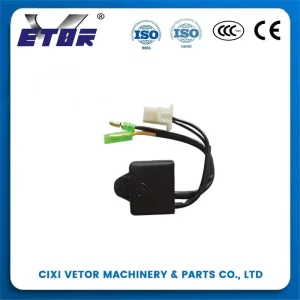 Wholesale The AN250 CDI Manufacturers, Exporter