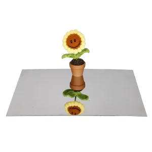 Stainless Steel Sheet / Stainless Steel Plate