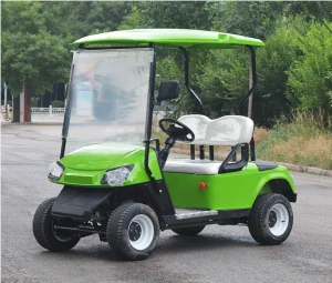 Electric Golf Cart 2 Seater with Lithium Battery 3.5kW Motor Unloading Flat Box &amp; Cargo Box for Hotel Use