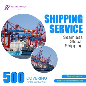 China Shipping Agent Freight Forwarder Sea Freight FCL to Nhava Sheva