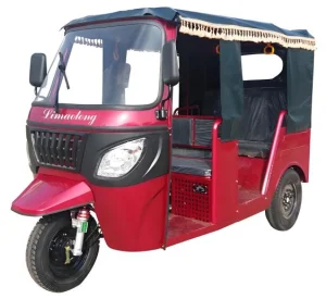 China Leading Fuel Tricycles Supplier, Suppliers
