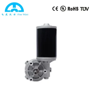 Worm Gear Motor