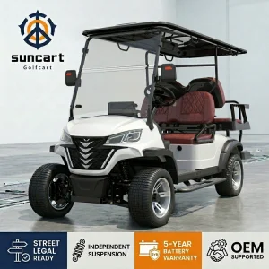Fast Shipping Buggy