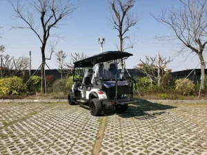 Veículo de Caça Buggy Golf