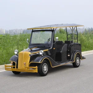 Cars Part Convertible Buggy with CE Certificate Electric Classic Car