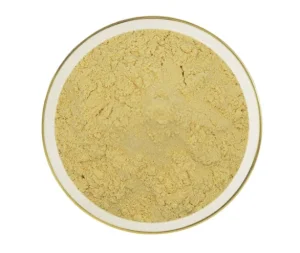 Panax Ginseng Root Extract Powder