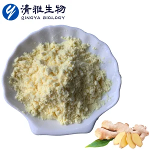 Plant Extract 100% Water Soluble Ginger Powder Ginger Extract Food Grade