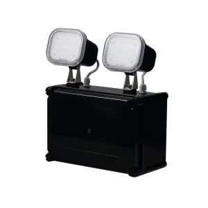 IP65 Waterproof Rechargeable Plastic Cold White Twin Spots Emergency Light With 2*30PCS 2835 SMD LED