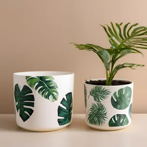 China Monstera Botanical Ceramic Planter Duo - Stylish Indoor Decor Pots VDLK1831 Suppliers, Factory