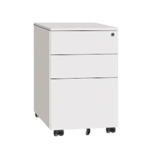 Secure Mobile Storage