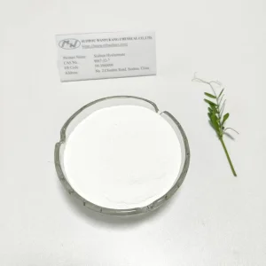 High Quality Sodium Hyaluronate Powder Supplier