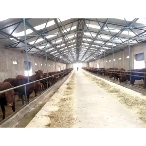 Large Span Barn Shed Metal Kits Prefab Steel Structure Building Farm Roof Truss Light Welding Cow Broiler Chicken Goat Pig House