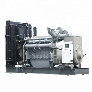 مولد ديزل من نوع حاوية صامتة / ميتسوبيشي مفتوح بقوة 1000kw