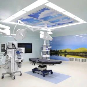 Mecanmed One Stop Medical Supplier Modular Theater Modular Icu Room Operating Room Turnkey Project Hospital Operation Room
