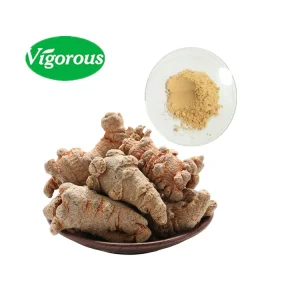 Chinese Traditional Herb Panax Notoginseng Extract Powder Panax Notoginsenosides