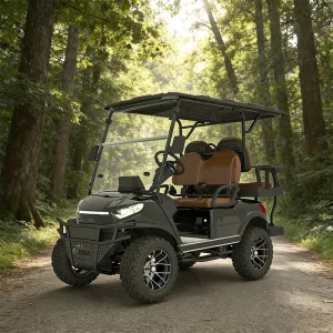 Lithium Battery Solar 2 4 6 Seaters off Road Electric Street Legal Golf Cart Buggy