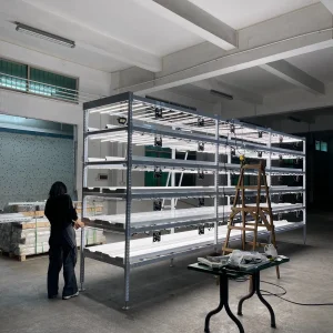 Commercial Hydroponic System