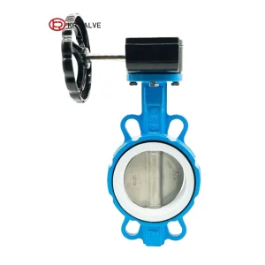 Wafer BF Valve