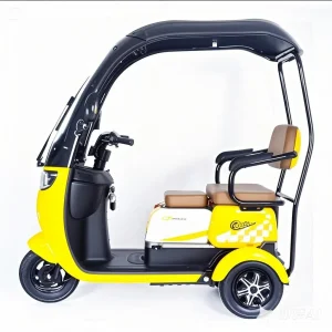 Intelligent Braking System