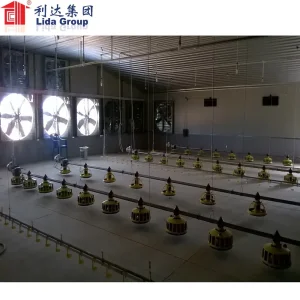 Low Cost Steel Structure Poultry Farming Building