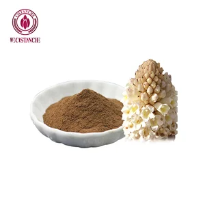Cistanche Bulk Powder